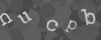 Por favor, digite os caracteres desta imagem na caixa de entrada