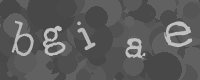 Por favor, digite os caracteres desta imagem na caixa de entrada