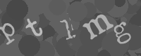 Por favor, digite os caracteres desta imagem na caixa de entrada